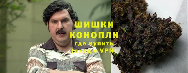 молекула духа Медвежьегорск