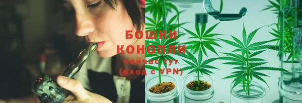 молекула духа Медвежьегорск