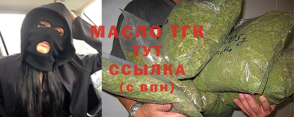 молекула духа Медвежьегорск