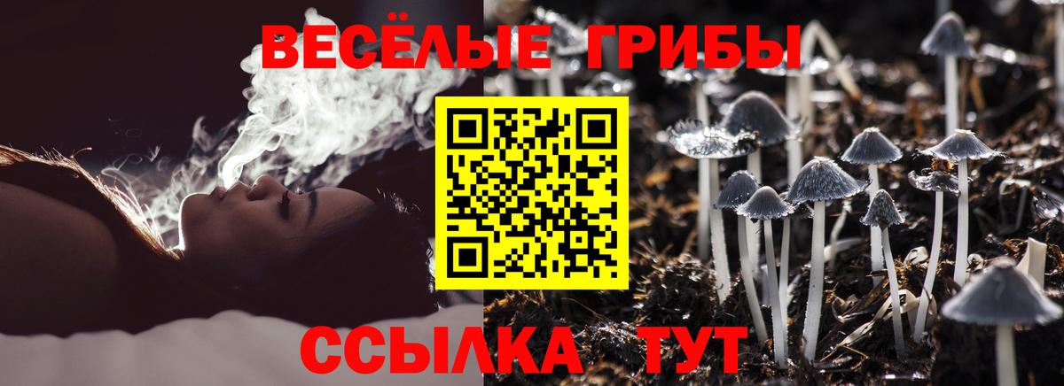 Псилоцибиновые грибы мухоморы  Вход с VPN  Уфа  Галлюциногенные грибы Cubensis 